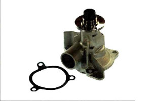 Pompa Wody Bmw 5 (e34) 2.4d 03.88-08.91 Thermotec