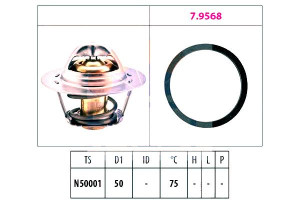 Termostat Renault Eps