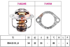 Termostat Facet 610985358 1880224 Th22285g1 580224