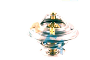 Termostat Fae 11532246825 11532243126 11532246199
