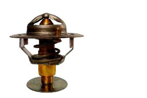 Termostat (82c Z Zaworkiem) Perkins Ursus 5000 Biz