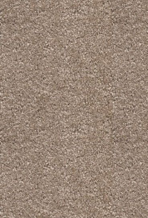 Dywan Shaggy AW Florida 36 - 150x200cm
