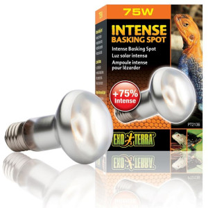 Exo Terra Intense Basking Spot 75w (żarówka Grzewcza)