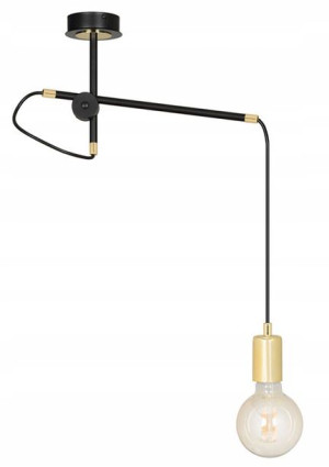 Lampa Wisząca Pojedyncza Do Salonu Sypialni = Loft