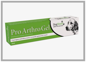Dogshield Pro Arthro Gel 60 ml. Dla psa. Biofaktor.