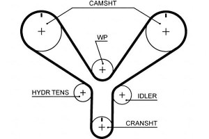 Pasek Rozrządu Honda Accord Vi 3.0 02.98-06.03 Gat