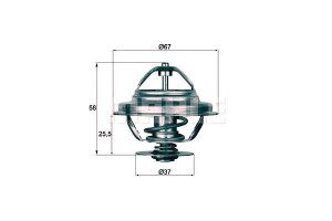 Termostat [mahle]