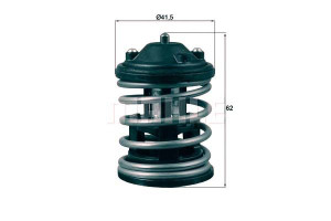 Termostat Bmw 87c X1 X3 X6 Mahle