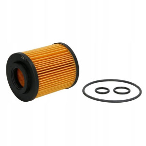 Filtr oleju QUICKSILVER 8M0150917