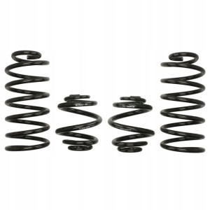 Sprężyny EIBACH PRO KIT Seat Leon 1M1