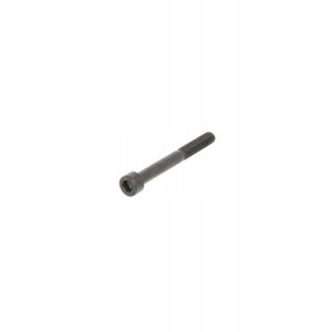 THULE śruba MC6S M6x55 50616 dla Rideon 9502/9503
