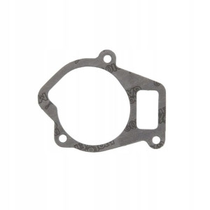 Uszczelka pompy wody ATHENA S410207024002