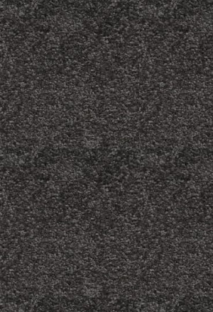 Dywan Shaggy AW Florida 98 - 400x450cm