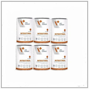 4T VetExpert Intestinal Dog 6x400g. Mokra karma dla psa