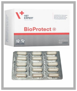 Bioprotect 15 kaps. 1 listek. Probiotyk. Dla psa, dla kota. VetExpert