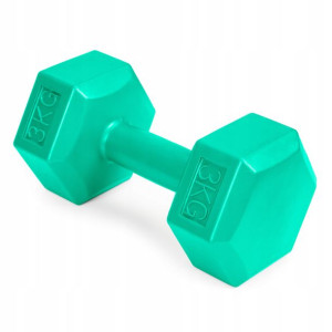 Hantle Fitness 6kg Zestaw Hantelki Ciężarki 2x3kg