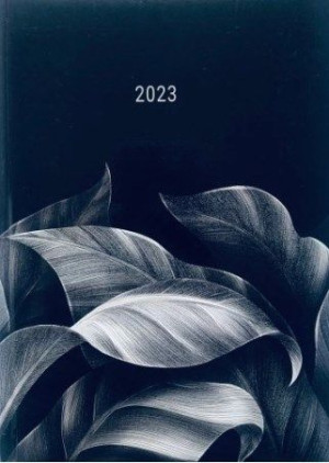 2023 Kalendarz Książkowy Dzienny A5 Hamelin