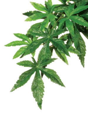 Exo-Terra Rainforest Plant Small - Abuliton Roślina Mała Ex-0322