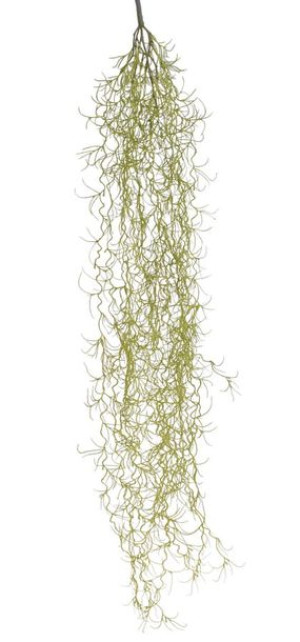 Tillandsia Usneoides Doskonała Imitacja