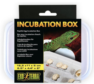 Exo-Terra Incubation Box - Pojemnik Do Inkubacji 12 Jajek Inkubator Ex-4437