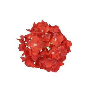 Hortensja wyrobowa tt red