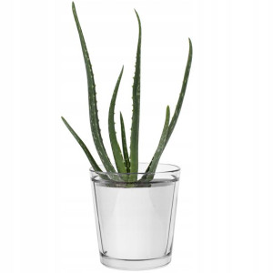 Osłonka na donicę Orchid bezbarwna TREND FOR HOME