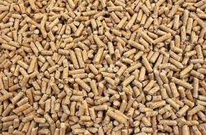 Pellet drewniany, żwirek dla kota, królika, świnki.
