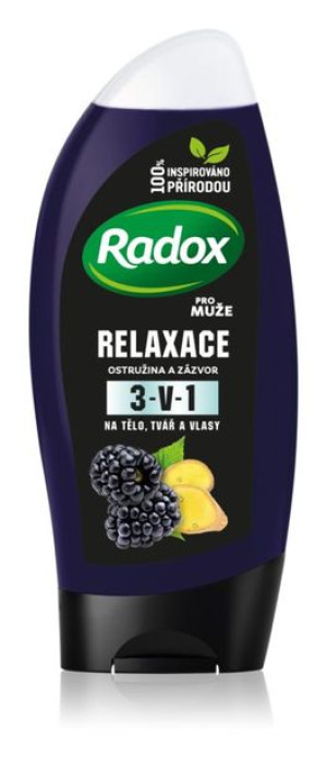 Radox Men Feel Wild Żel I Szampon 250ml