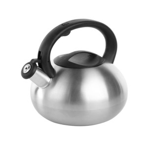 Czajnik ze stali nierdzewnej srebrny Samba 2,5 l mat
