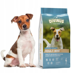 Divinus Adult mini dla ras małych 4kg