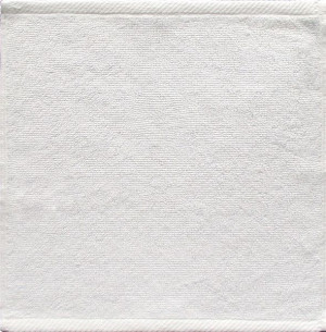 Ręcznik "greno" hotelowy 30x30 gładki excl