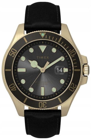 Zegarek Męski TIMEX TW2V42200 Pasek WR100