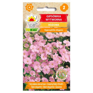 Gipsówka wytworna różowa - nasiona 1 g - Toraf