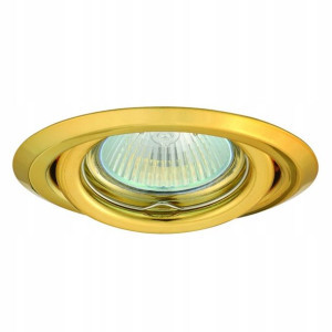 ARGUS Oprawa sufitowa punktowa CT-2115-G