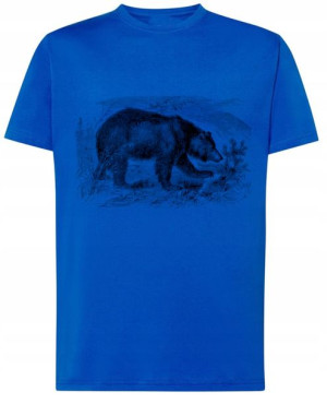 T-Shirt męski nadruk Niedźwiedź miś Rozm.3XL