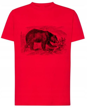 T-Shirt męski nadruk Niedźwiedź miś Rozm.M