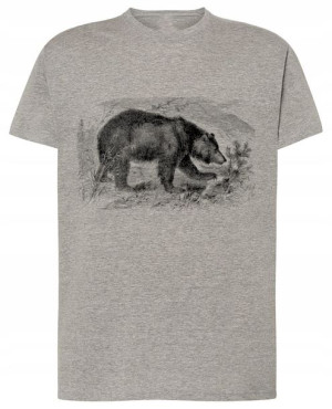 T-Shirt męski nadruk Niedźwiedź miś Rozm.S