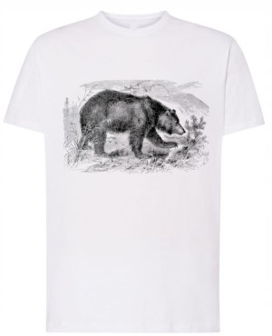 T-Shirt męski nadruk Niedźwiedź miś Rozm.XL