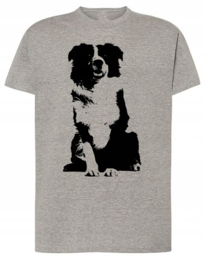 T-Shirt męski nadruk pies Border Collie r.3XL
