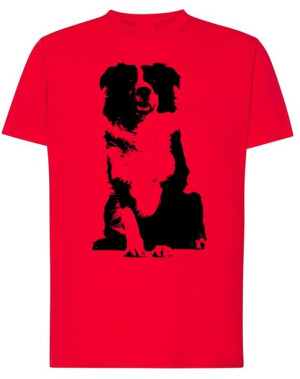 T-Shirt męski nadruk pies Border Collie r.5XL