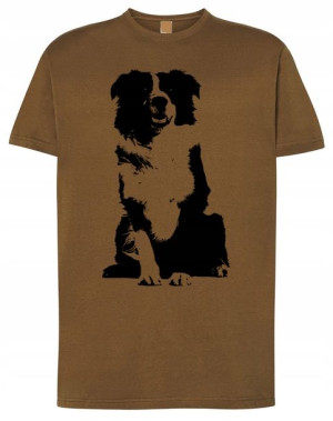 T-Shirt męski nadruk pies Border Collie r.M