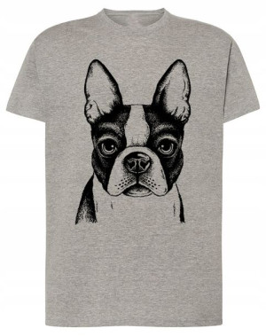 T-Shirt męski nadruk pies Boston Terrier r.4XL