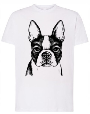 T-Shirt męski nadruk pies Boston Terrier r.L