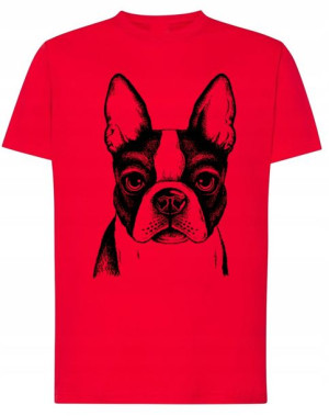 T-Shirt męski nadruk pies Boston Terrier r.M