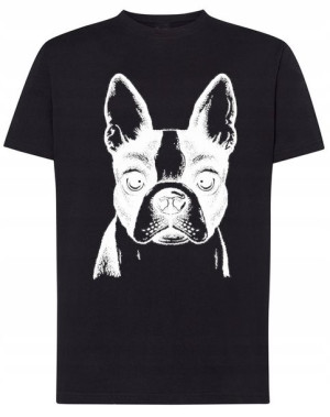T-Shirt męski nadruk pies Boston Terrier r.S