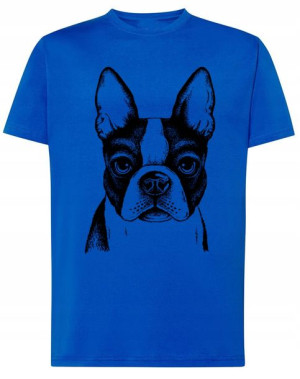 T-Shirt męski nadruk pies Boston Terrier r.S