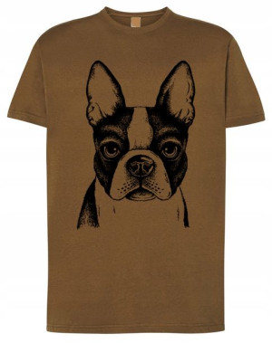 T-Shirt męski nadruk pies Boston Terrier r.XXL