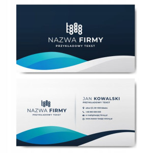 Wizytówki firmowe gotowy projekt 250 sztuk