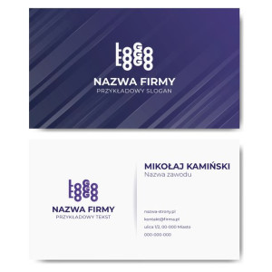 Wizytówki firmowe gotowy projekt 100 sztuk