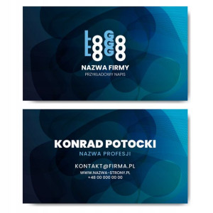 Wizytówki firmowe gotowy projekt 250 sztuk